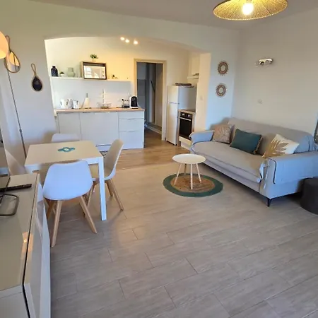 Climatise Avec Terrasse Et Piscine A - Fr-1-780-75 Lejlighed *